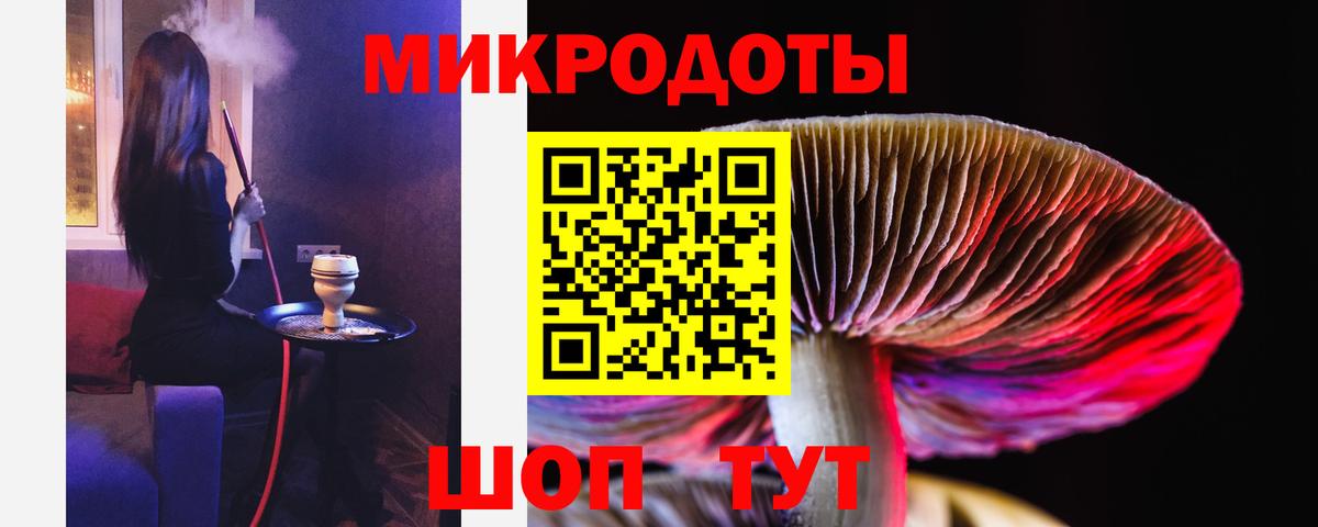 Псилоцибиновые грибы мухоморы Большой Камень